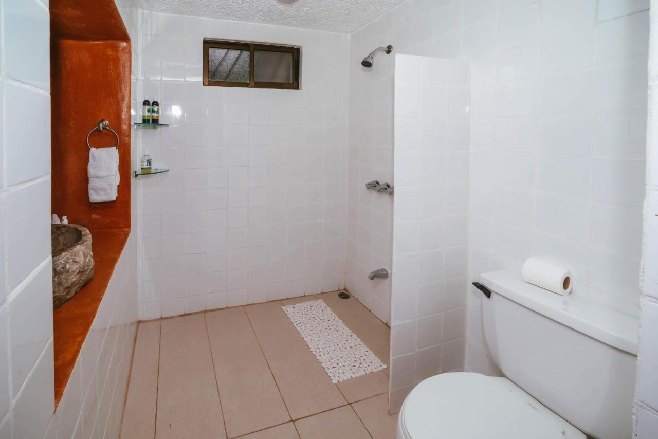 Luna Inn B&B Ciudad Cariari エクステリア 写真