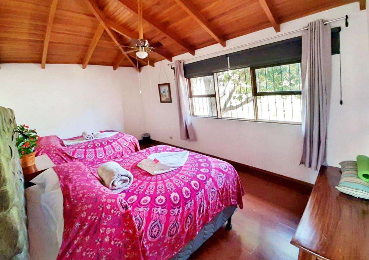 Luna Inn B&B Ciudad Cariari エクステリア 写真